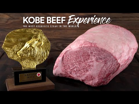 Cooking real A5 KOBE BEEF Wagyu from Japan, It's Insane!
