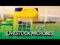 The Game Changing Product You Didn T Know About MolaPlus Livestock Microbes