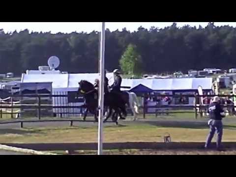 Kronshof-Special 2012 - Finals T4 / V2 - www.isibless.de