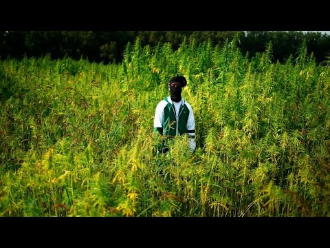 Millson9 - Moe Van (Official Video)