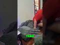 Our Temu Couch Was A JOKE... 🤣