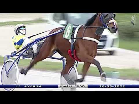 Aversa trotto 26 Marzo 2022 - 1° Corsa