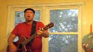 O Lucky Man Cover Alan Price