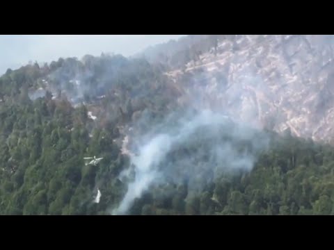 Fövqəladə Hallar Nazirliyi xəbərdarlıq edir: Yay aylarında odla ehtiyatsızlıq fəlakət törədir!