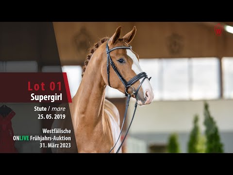 ONLIVE Frühjahrs-Auktion Lot 01 Supergirl Stute v. Sir Heinrich -  Laureus