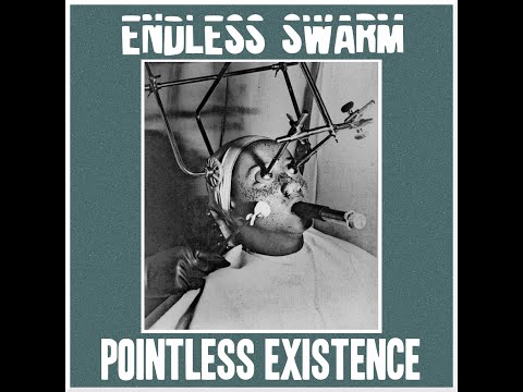 Endless Swarm - Pointless Existence [2015]
