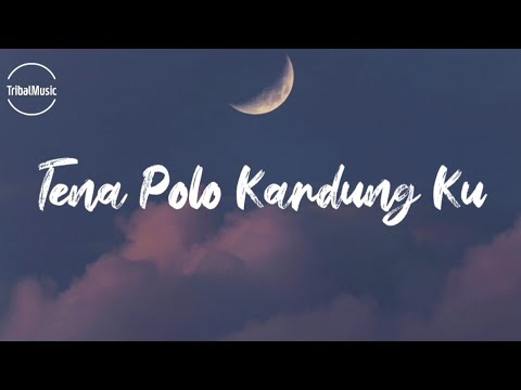 Tena Polo Kardungku Cover