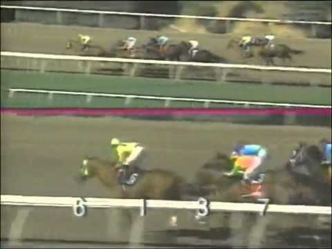1994 Californian Stakes - The Wicked North