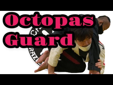 オクトパスガード Octopas Guard