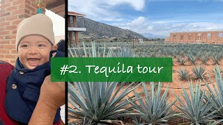 🇲🇽 ep.2) 멕시코 브이로그 | 데낄라 마을 투어, 네버엔딩 마리아치 공연 (Tequila tour, mariachi)