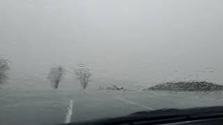 Louisiana Rain - Tom Petty and the Heartbreakers