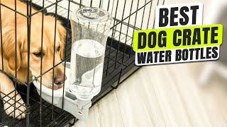 3 BEST Dog Crate Water Bottle