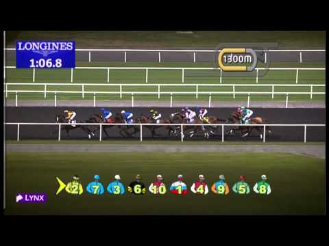 24.01.2013 Meydan (Dubai-UAE) 1.Race Zabeel Feedmill Trophy -  2.200 m
