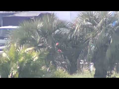 230825 c01 - 1° CITY SMITH - SINT COLONIA