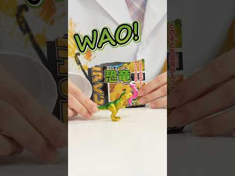 【ANIA Dinosaur Mystery Box】アニアくじ恐竜　ドン・キホーテ アピタ ピアゴ オリジナル　開封してみた！【タカラトミー公式】