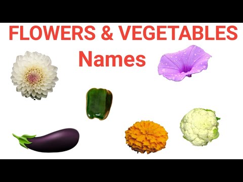Flowers & Vegetables names || Kids special|| #Astrogen special