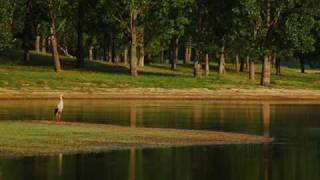 Gary Moore -  Nothing s the same