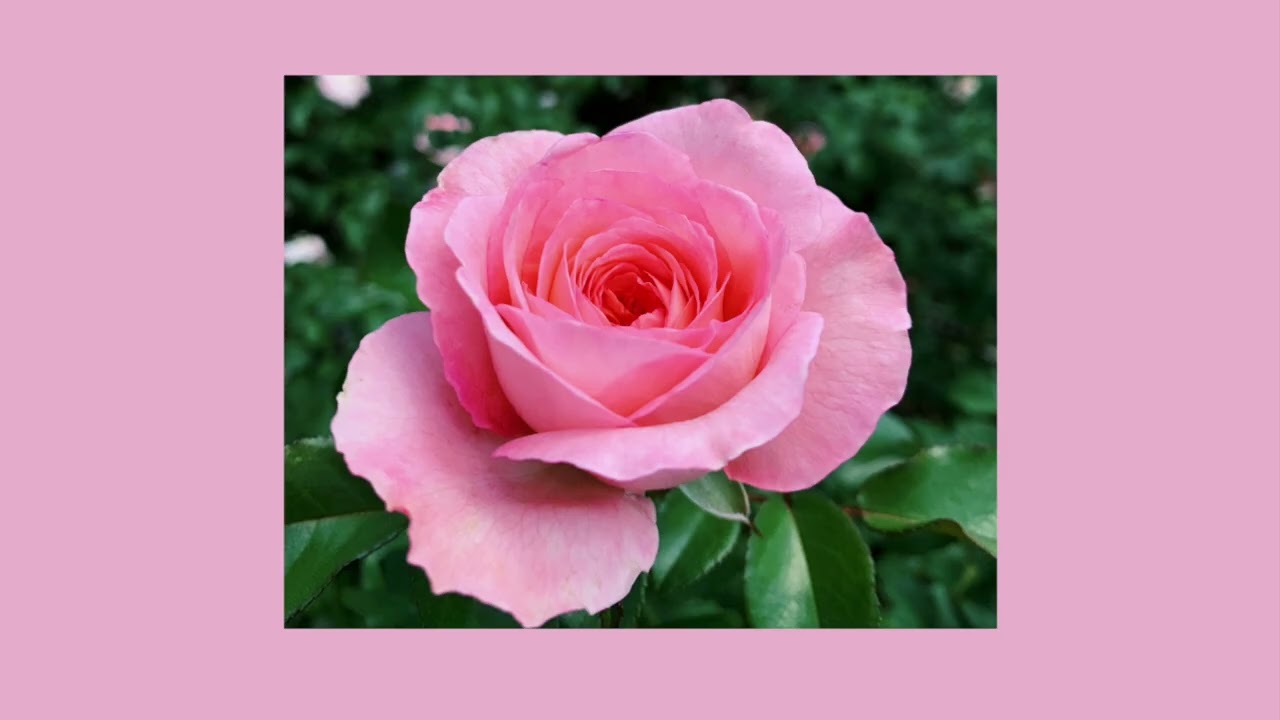 Best Indie Discoveries | May 2026