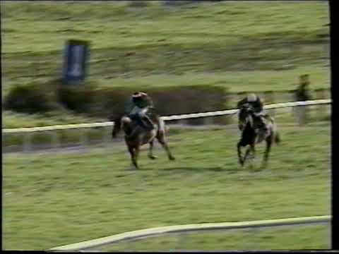 2001 - Fairyhouse - Hatton's Grace Hurdle - Limestone Lad (P Carberry)