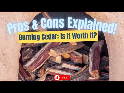 Can Cedar Be Used as Firewood Discover the Pros and Cons!