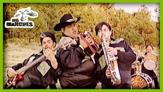 Video manchado: Camelia, La Texana | No Manches | Telehit