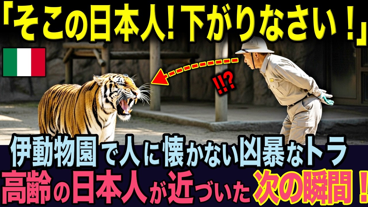 イタリア動物園の飼育員を長年悩ませてきた凶暴なトラに日本人が近づいた次の瞬間...まさかの光景に園内が驚愕