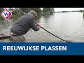 Reeuwijkse Plassen: balans zoeken tussen natuur, bewoners en recreatie