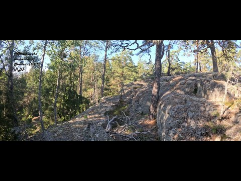 Ups and downs in the backwoods of Svealand, Sweden. Literally. [5.3k HD]