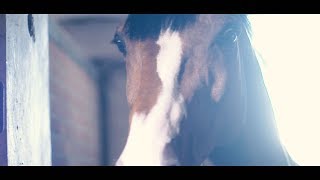 FilippoBologniMusic - Spettacolare - Emanuele Aloia ft. Marta Pilia (OFFICIAL VIDEO)