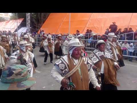 ANATA ANDINO En Oruro Bolivia  Curahuara de Carangas provincia Sajama.💯🇧🇴