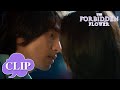 He Was Jealous And Wanted To Kiss Her The Forbidden Flower EP06 Clip