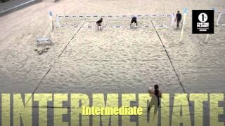 Intermediate 1.16