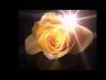 Yellow Roses "By" Dolly Parton
