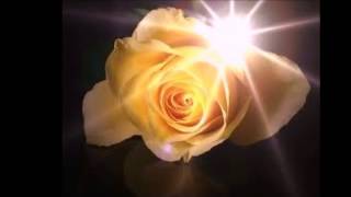 Yellow Roses &quot;By&quot; Dolly Parton