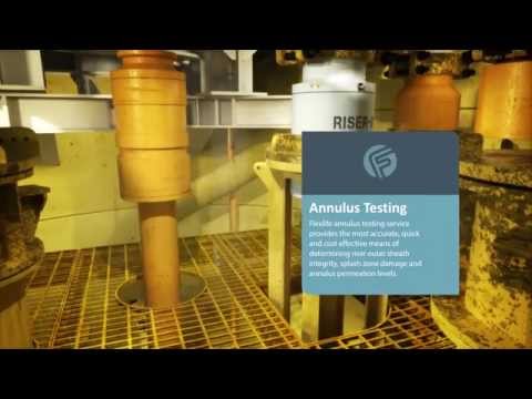 FlexLife annulus testing