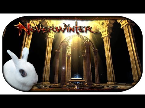 🐇 NEVERWINTER: Paladin-LP #20 - Artefakte und die Wahl des Pfades