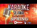 Sejiwa Original Karaoke SPRING