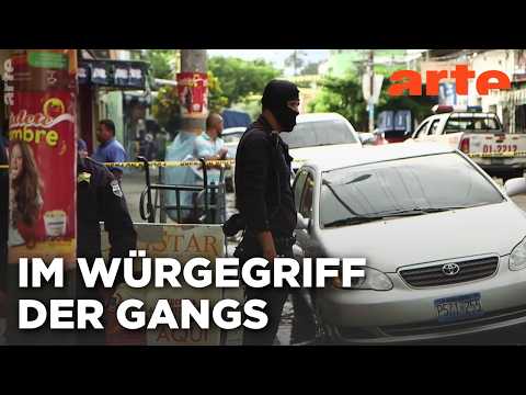 El Salvador: Die Maras wollen die Macht | ARTE Reportage (2015)
