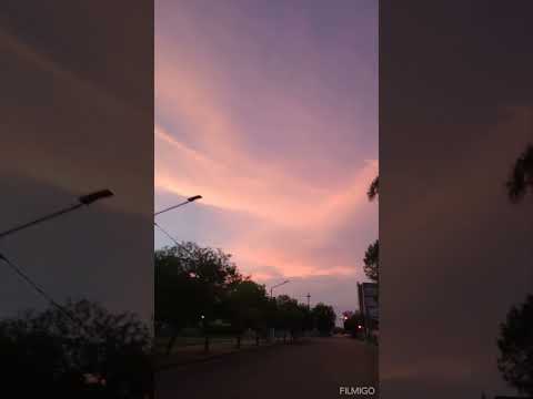 Andrés Simón improvisación 2023