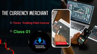 Foundations of Forex trading education