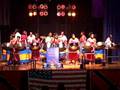 STVYSO St Veronicas Youth Steel Orchestra
