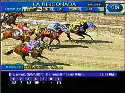 Resumen domingo 12 de Marzo 2011 - La Rinconada