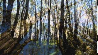 Johnny Stimson -  "You Can't Save Me"