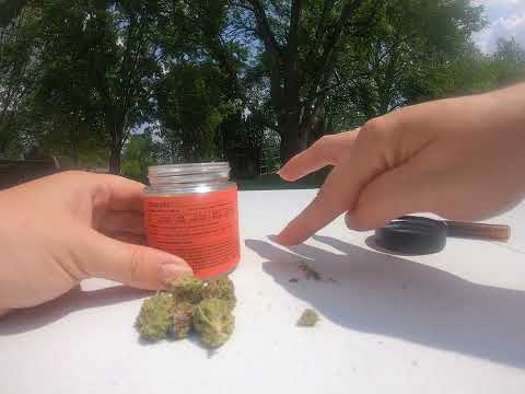 Daze Off Whipped Dream Sofa Illinois Cannabis Review #cannabis