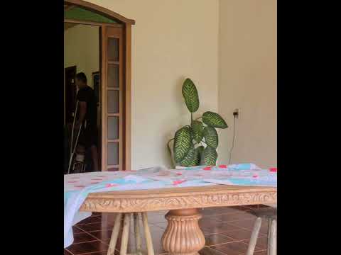 piranga roça #viralvídeo #videoshort #minasgerais #dundadrone #natureza #reflexão
