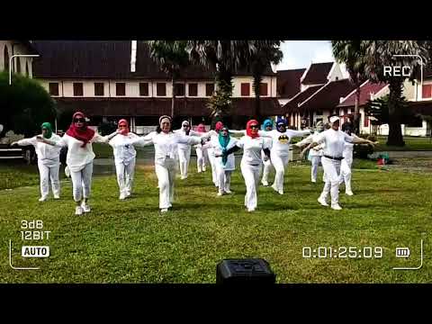 Send Me The Pillow #linedance