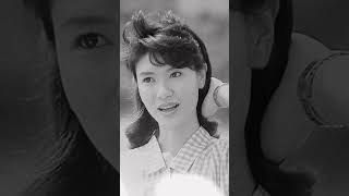 ?中井貴恵　女王蜂