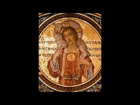 Dominica II Post Pascha - INTROITUS