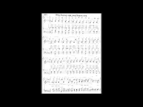 Hinário 5 CCB - Hino 381 - Mui breve virá, mui breve virá - Strings - Teclado Yamaha PSR S670