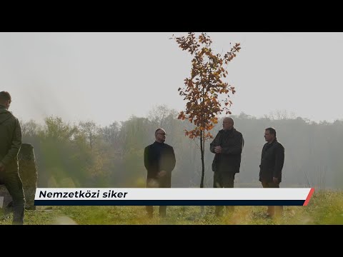 Híradó – 2026.01.29. – Csütörtök